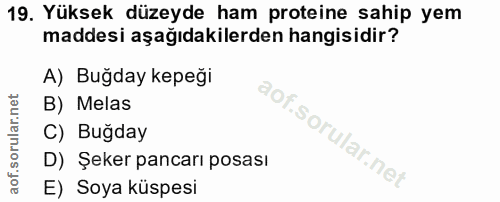 19. soru: Yüksek düzeyde ham proteine sahip yem maddesi aşağıdakilerden hangisidir? A) Buğday kepeği B) Melas C) Bugday D) Şeke…