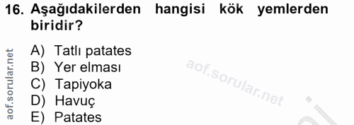 16. soru: Aşağıdakilerden hangisi kök yemlerden biridir? A) Tatlı patates B) Yer elması C) Tapiyoka D) Havuç E) Patates