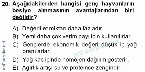 20. soru: Aşağıdakilerden hangisi genç hayvanların besiye alınmasının avantajlarından biri değildir? A) Değerli et miktarı daha…