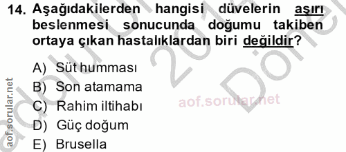 14. soru: Aşağıdakilerden hangisi düvelerin aşırı beslenmesi sonucunda doğumu takiben ortaya çıkan hastalıklardan biri değildir…