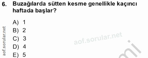 6. soru: Buzağılarda sütten kesme genellikle kaçıncı haftada başlar? A) 1 B) 2 C) 3 D) 4 E) 5