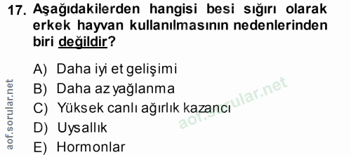 17. soru: Aşağıdakilerden hangisi besi sığırı olarak erkek hayvan kullanılmasının nedenlerinden biri değildir? A) Daha iyi et g…