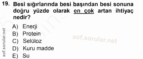 19. soru: Besi sığırlarında besi başından besi sonuna doğru yüzde olarak en çok artan ihtiyaç nedir? A) Enerji B) Protein C) Se…