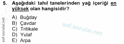 5. soru: Aşağıdaki tahıl tanelerinden yağ içeriği en yüksek olan hangisidir? A) Buğday B) Çavdar C) Tritikale D) Yulaf E) Arpa