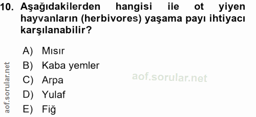 10. soru: Aşağıdakilerden hangisi ile ot yiyen hayvanların (herbivores) yaşama payı ihtiyacı karşılanabilir? A) Mısır B) Kaba y…