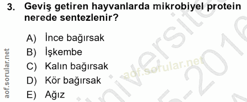 3. soru: Geviş getiren hayvanlarda mikrobiyel protein nerede sentezlenir? A) İnce bağırsak B) Işkembe C) Kalın bağırsak adr bo…