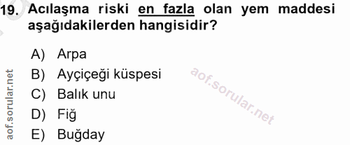 19. soru: Acılaşma riski en fazla olan yem maddesi aşağıdakilerden hangisidir? A) Arpa B) Ayçiçeği küspesi C) Balık unu D) Fig…