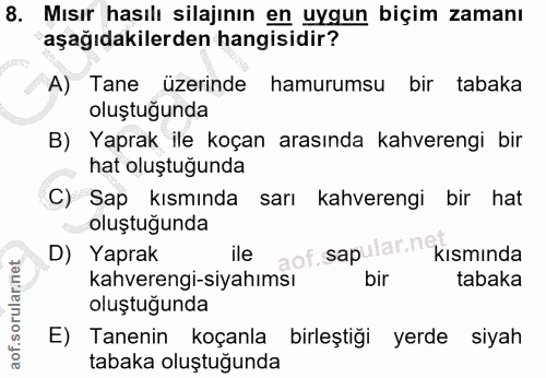 8. soru: Mısır hasılı silajının en uygun biçim zamanı aşağıdakilerden hangisidir? A) Tane üzerinde hamurumsu bir tabaka oluştu…