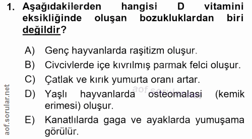 1. soru: Aşağıdakilerden hangisi vitamini eksikliğinde oluşan bozukluklardan biri değildir? A) Genç hayvanlarda raşitizm oluşu…