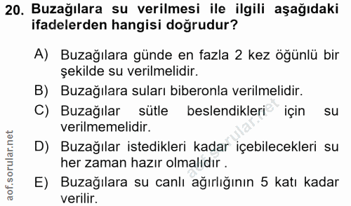 20. soru: Buzağılara su verilmesi ile ilgili aşağıdaki ifadelerden hangisi doğrudur? A) Buzağılara günde en fazla 2 kez öğünlü…