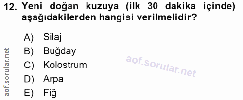 12. soru: Yeni doğan kuzuya (ilk 30 dakika içinde) aşağıdakilerden hangisi verilmelidir? A) Silaj B) Buğday C) Kolostrum D) Arp…