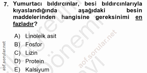 7. soru: Yumurtacı bıldırcınlar, besi bıldırcınlarıyla kıyaslandığında aşağıdaki besin maddelerinden hangisine gereksinimi en…