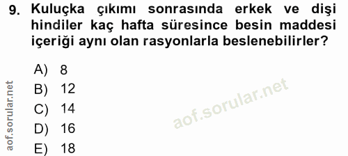 9. soru: Kuluçka çıkımı sonrasında erkek ve dişi hindiler kaç hafta süresince besin maddesi içeriği aynı olan rasyonlarla besl…