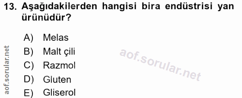 13. soru: Aşağıdakilerden hangisi bira endüstrisi yan ürünüdür? A) Melas B) Malt çili C) Razmol D) Gluten E) Gliserol