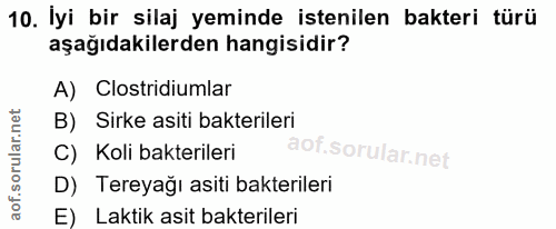 10. soru: İyi bir silaj yeminde istenilen bakteri türü aşağıdakilerden hangisidir? A) Clostridiumlar B) Sirke asiti bakterileri…