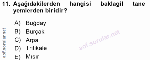 11. soru: Aşağıdakilerden hangisi baklagil tane yemlerden biridir? A) Bugday B) Burçak C) Arpa D) Tritikale E) MIsır