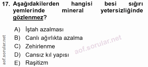 17. soru: Aşağıdakilerden hangisi besi sığırı yemlerinde mineral yetersizliğinde gözlenmez? A) Iştah azalması B) Canlı ağırlıkt…