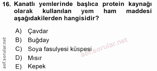 16. soru: Kanatlı yemlerinde başlıca protein kaynağı olarak kullanılan yem ham maddesi aşağıdakilerden hangisidir? A) Çavdar C)…