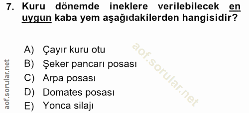 7. soru: Kuru dönemde ineklere verilebilecek en uygun kaba yem aşağıdakilerden hangisidir? A) Çayır kuru otu B) Şeker pancarı…