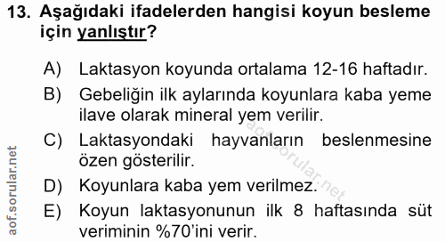 13. soru: Aşağıdaki ifadelerden hangisi koyun besleme için yanlıştır? A) Laktasyon koyunda ortalama 12-16 haftadır. B) Gebeliği…