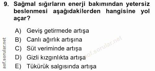9. soru: Sağmal sığırların enerji bakımından yetersiz beslenmesi aşağıdakilerden hangisine yol açar? A) Geviş getirmede artışa…