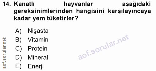 14. soru: Kanatlı hayvanlar aşağıdaki gereksinimlerinden hangisini karşılayıncaya kadar yem tüketirler? A) Nişasta B) Vitamin C…