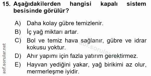15. soru: Aşağıdakilerden hangisi kapalı sistem besisinde görülür? A) Daha kolay gübre temizlenir. B) Iç yağ miktarı artar. C)…