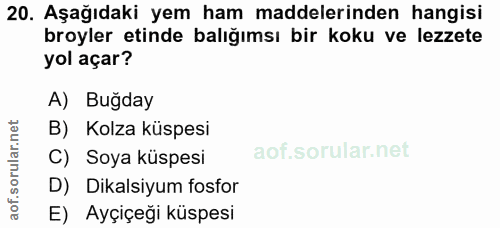 20. soru: Aşağıdaki yem ham maddelerinden hangisi broyler etinde balığımsı bir koku ve lezzete yol açar? A) Buğday B) Kolza küs…