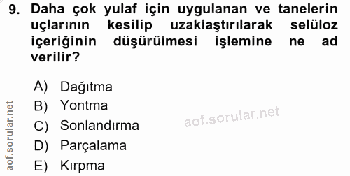 9. soru: Daha çok yulaf için uygulanan ve tanelerin uçlarının kesilip uzaklaştırılarak seluloz içeriğinin düşürülmesi işlemine…