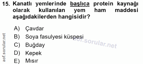 15. soru: Kanatlı yemlerinde başlıca protein kaynağı olarak kullanılan yem ham maddesi aşağıdakilerden hangisidir? A) Çavdar B)…