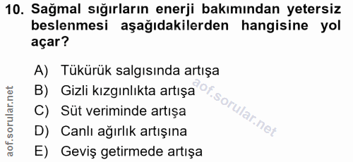 10. soru: Sağmal sığırların enerji bakımından yetersiz beslenmesi aşağıdakilerden hangisine yol açar? A) Tükürük salgısında art…