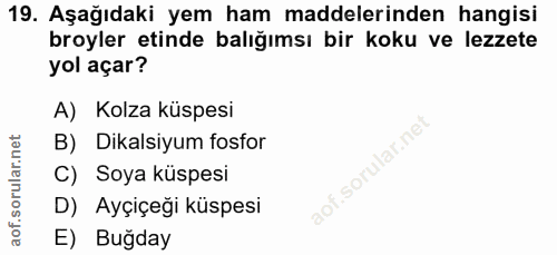 19. soru: Aşağıdaki yem ham maddelerinden hangisi broyler etinde balığımsı bir koku ve lezzete yol açar? A) Kolza küspesi B) Di…