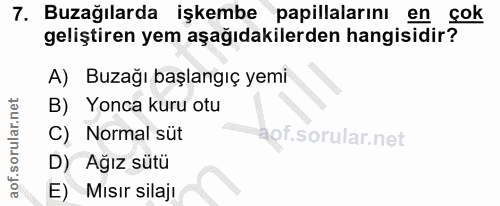7. soru: Buzağılarda işkembe papillalarını en cok geliştiren yem aşağıdakilerden hangisidir? A) Buzağı başlangıç yemi B) Yonca…