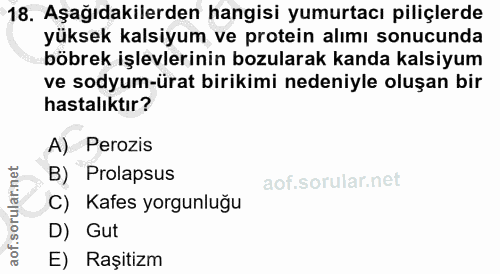 18. soru: Aşağıdakilerden hangisi yumurtacı piliçlerde yüksek kalsiyum ve protein alımı sonucunda böbrek işlevlerinin bozularak…