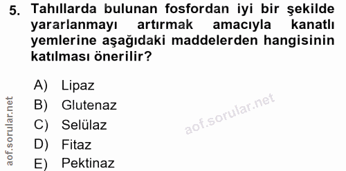 5. soru: Tahıllarda bulunan fosfordan iyi bir şekilde yararlanmayı artırmak amacıyla kanatlı yemlerine aşağıdaki maddelerden h…