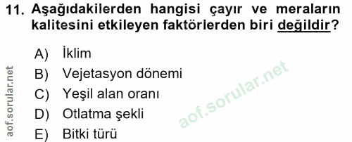 11. soru: Aşağıdakilerden hangisi çayır ve meraların kalitesini etkileyen faktörlerden biri değildir? A) İklim B) Vejetasyon dö…