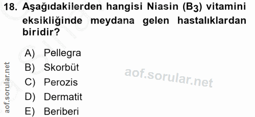18. soru: Aşağıdakilerden hangisi Niasin (B3) vitamini eksikliğinde meydana gelen hastalıklardan biridir? A) Pellegra B) Skorbü…