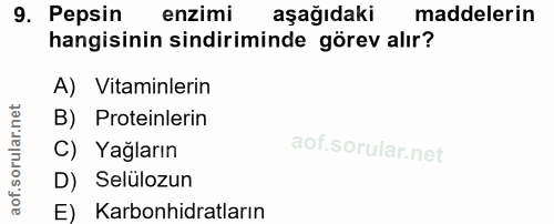 9. soru: Pepsin enzimi aşağıdaki maddelerin hangisinin sindiriminde görev alır? A) Vitaminlerin B) Proteinlerin C) Yağların D)…