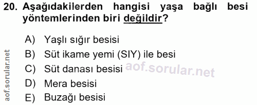20. soru: Aşağıdakilerden hangisi yaşa bağlı besi yöntemlerinden biri değildir? A) Yaşlı sığır besisi B) Süt ikame yemi (SIY) i…