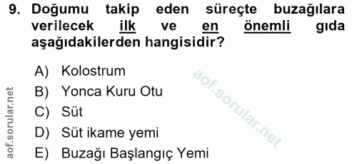 9. soru: Doğumu takip eden süreçte buzağılara verilecek ilk ve en önemli gıda aşağıdakilerden hangisidir? A) Kolostrum B) Yonc…