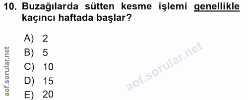 10. soru: Buzağılarda sütten kesme işlemi genellikle kaçıncı haftada başlar? A) 2 B) 5 C) 10 D) 15 E) 20