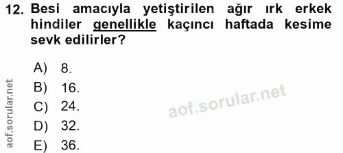12. soru: Besi amacıyla yetiştirilen ağır ırk erkek hindiler genellikle kaçıncı haftada kesime sevk edilirler? A) 8. B) 16. C)…