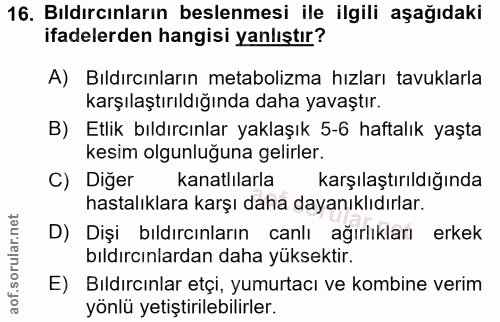 16. soru: Bıldırcınların beslenmesi ile ilgili aşağıdaki ifadelerden hangisi yanlıştır? A) Bıldırcınların metabolizma hızları t…