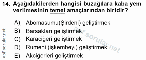 14. soru: Aşağıdakilerden hangisi buzağılara kaba yem verilmesinin temel amaçlarından biridir? A) Abomasumu(Şirdeni) geliştirme…
