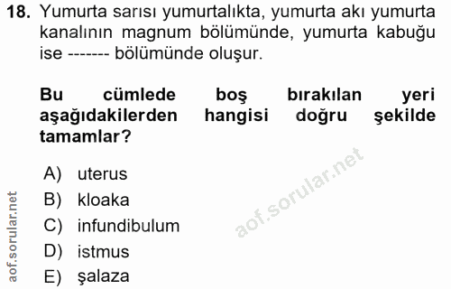 18. soru: Yumurta sarısı yumurtalıkta, yumurta akı yumurta kanalının magnum bölümünde, yumurta kabuğu ise - bölümünde oluşur. B…