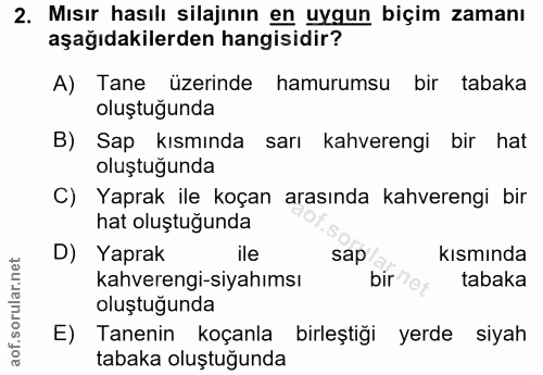 2. soru: Mısır hasılı silajının en uygun biçim zamanı aşağıdakilerden hangisidir? A) Tane üzerinde hamurumsu bir tabaka oluştu…