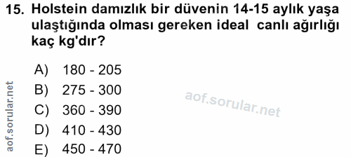 15. soru: Holstein damızlık bir düvenin 14-15 aylık yaşa ulaştığında olması gereken ideal canlı ağırlığı kaç kg'dır? A) 180 - 2…
