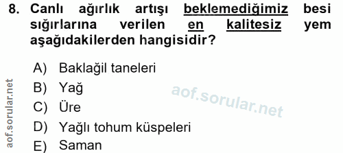 8. soru: Canlı ağırlık artışı beklemediğimiz besi sığırlarına verilen en kalitesiz yem aşağıdakilerden hangisidir? A) Baklağil…