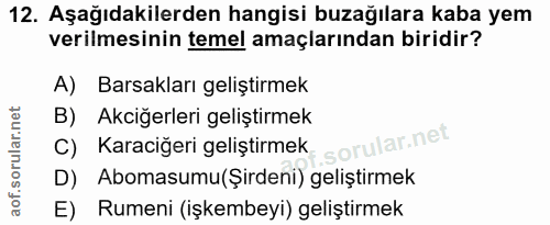 12. soru: Aşağıdakilerden hangisi buzağılara kaba yem verilmesinin temel amaçlarından biridir? A) Barsakları geliştirmek B) Akc…