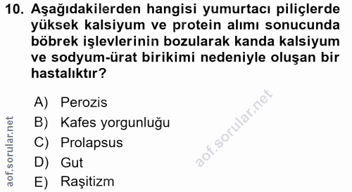 10. soru: Aşağıdakilerden hangisi yumurtacı piliçlerde yüksek kalsiyum ve protein alımı sonucunda böbrek işlevlerinin bozularak…